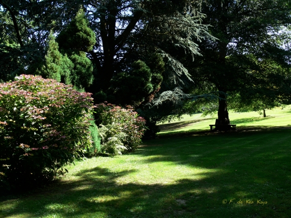Bois des Moutiers  (92) Summer 2012
